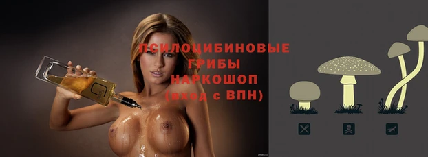 метадон Лагань
