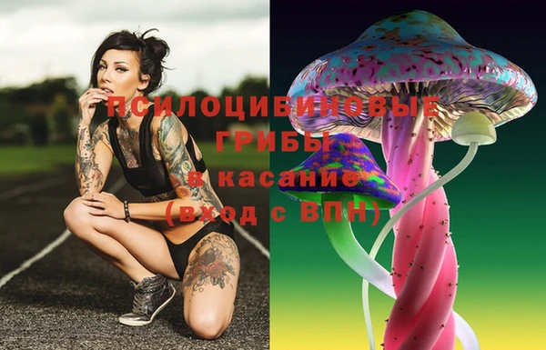 наркотики Ладушкин