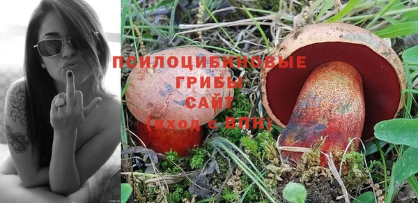 таблы Лабытнанги