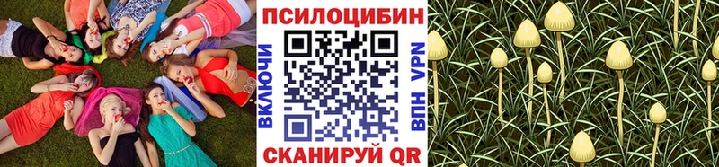 Псилоцибиновые грибы MAGIC MUSHROOMS  Купить  Бугуруслан 